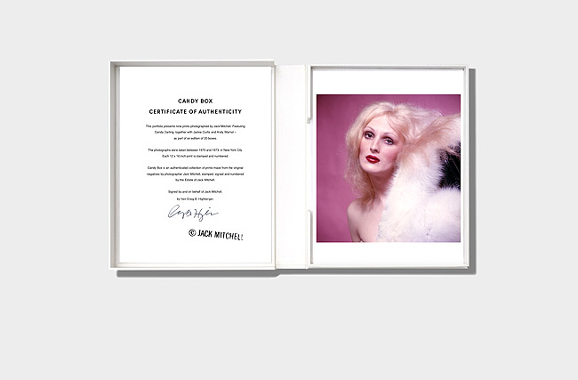 Large Image